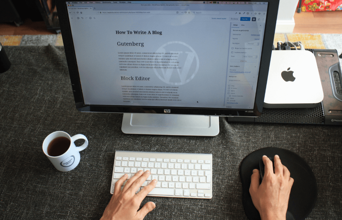 Give Someone Admin Access To Your WordPress Site In 2023
